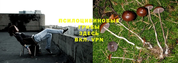 mdma Новозыбков