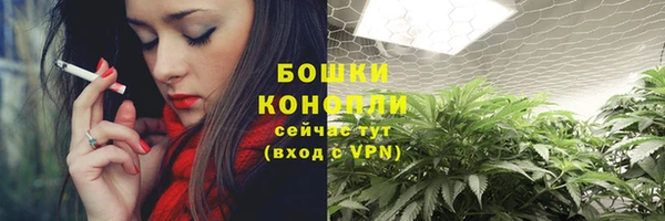 mdma Новозыбков