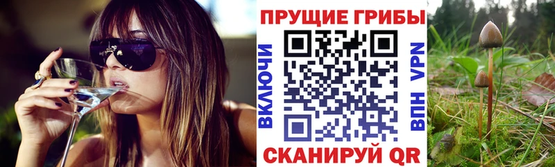 Галлюциногенные грибы ЛСД Соликамск